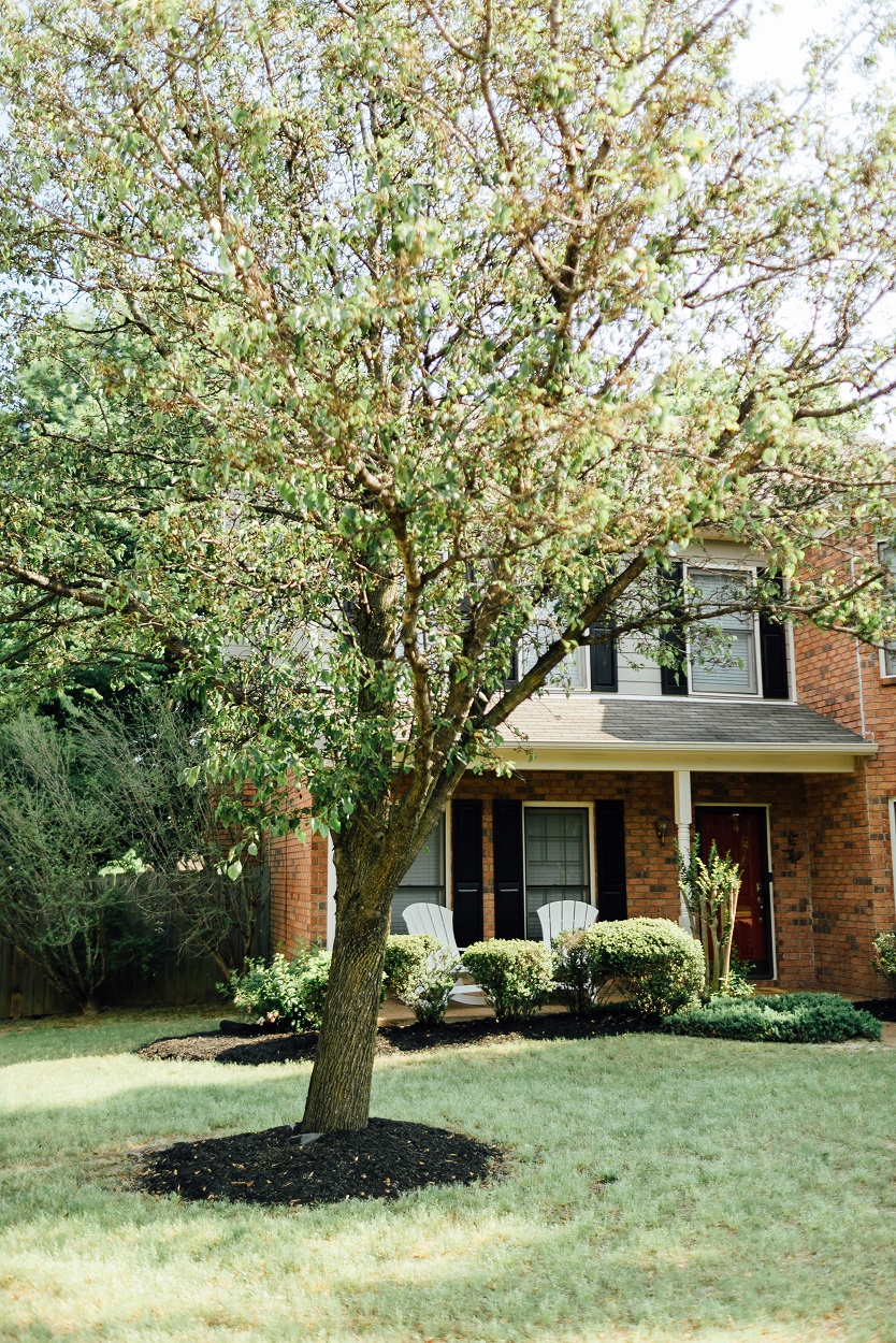 Awesome Tips for Getting Your Home Ready for Summer with Amex featured by popular lifestyle blogger, Walking in Memphis in High Heels