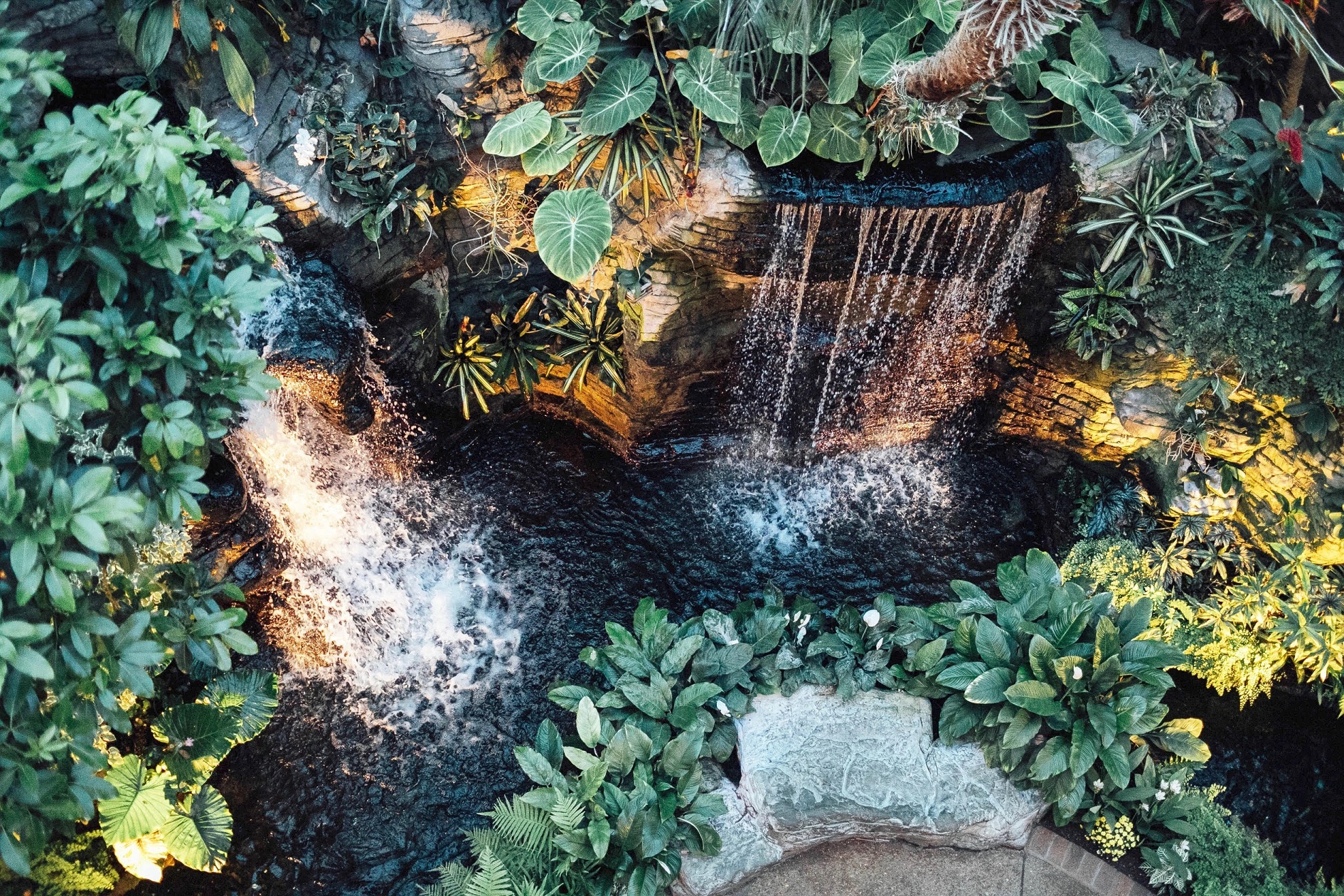 10 Family Friendly Things to Do at Gaylord Opryland in Nashville, TN this Winter featured by top travel blogger, Walking in Memphis in High Heels.