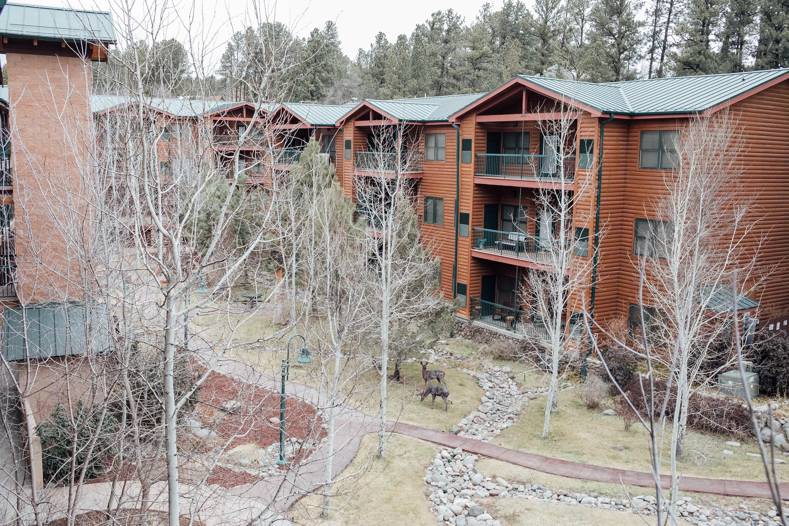 The Best Things to Do in Ruidoso, NM in Winter featured by top US travelb log, Walking in Memphis in High Heels: stay at the Ruidoso River Resort