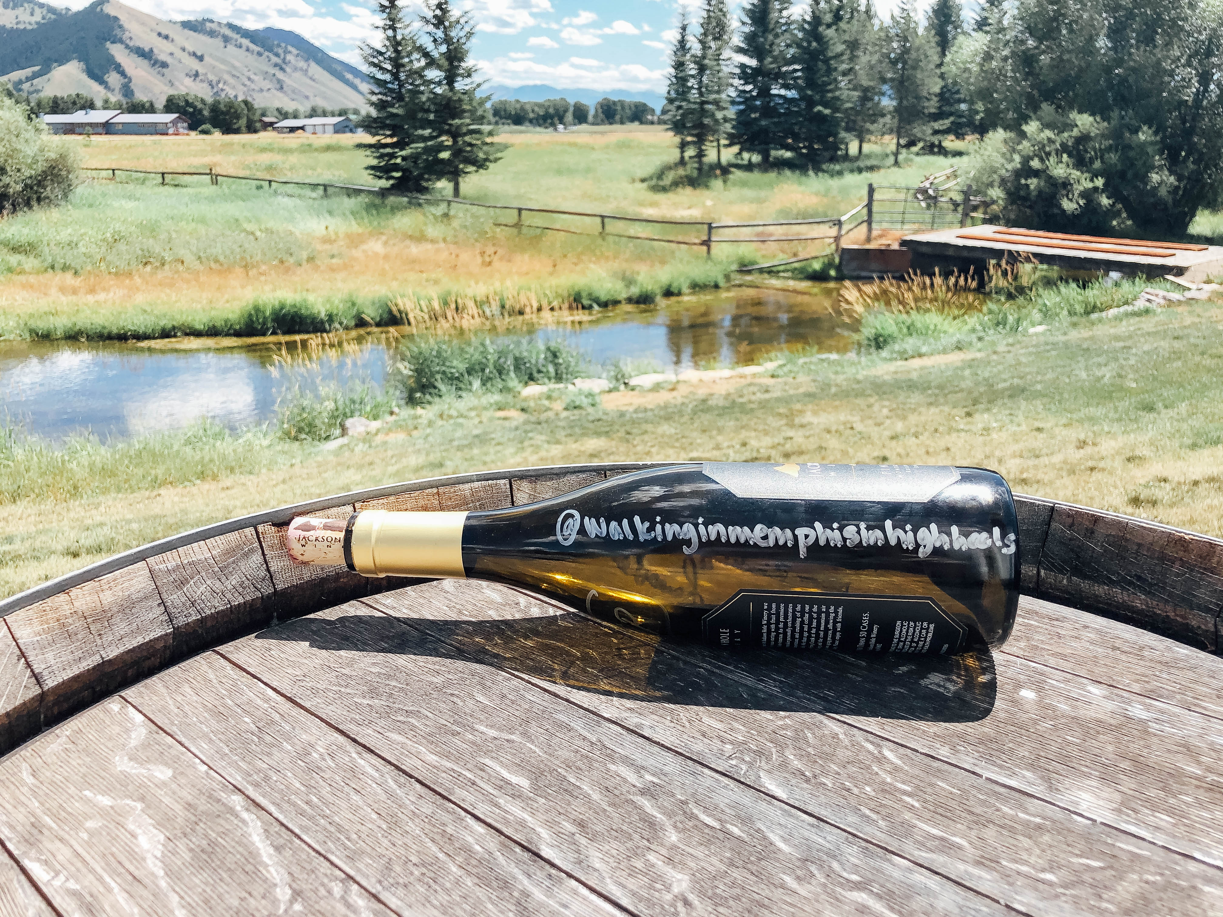 The Best Things to Do in Jackson Hole Wyoming in the Summer featured by top US travel blog, Waling in Memphis in High Heels