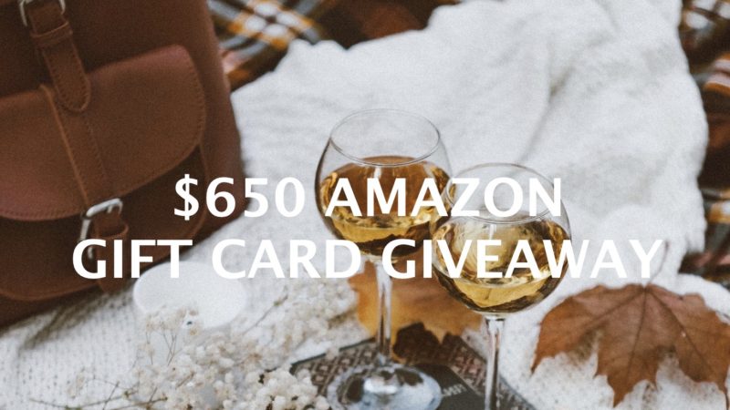 $650 Amazon Gift Card Giveaway hosted by top Memphis life and style blogger, Walking in Memphis in High Heels.