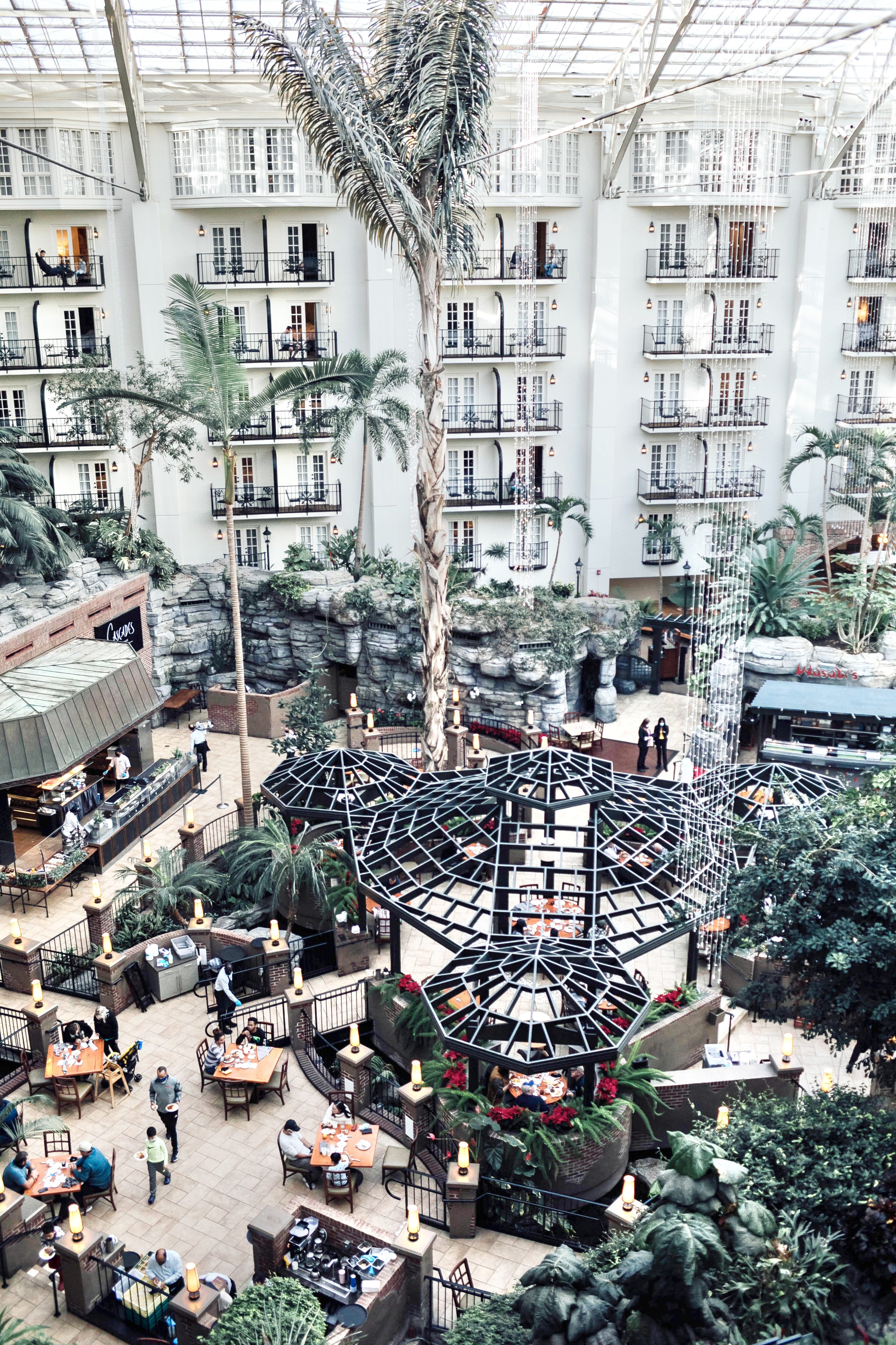 10 Family Friendly Things to Do at Gaylord Opryland in Nashville, TN this Winter featured by top travel blogger, Walking in Memphis in High Heels.