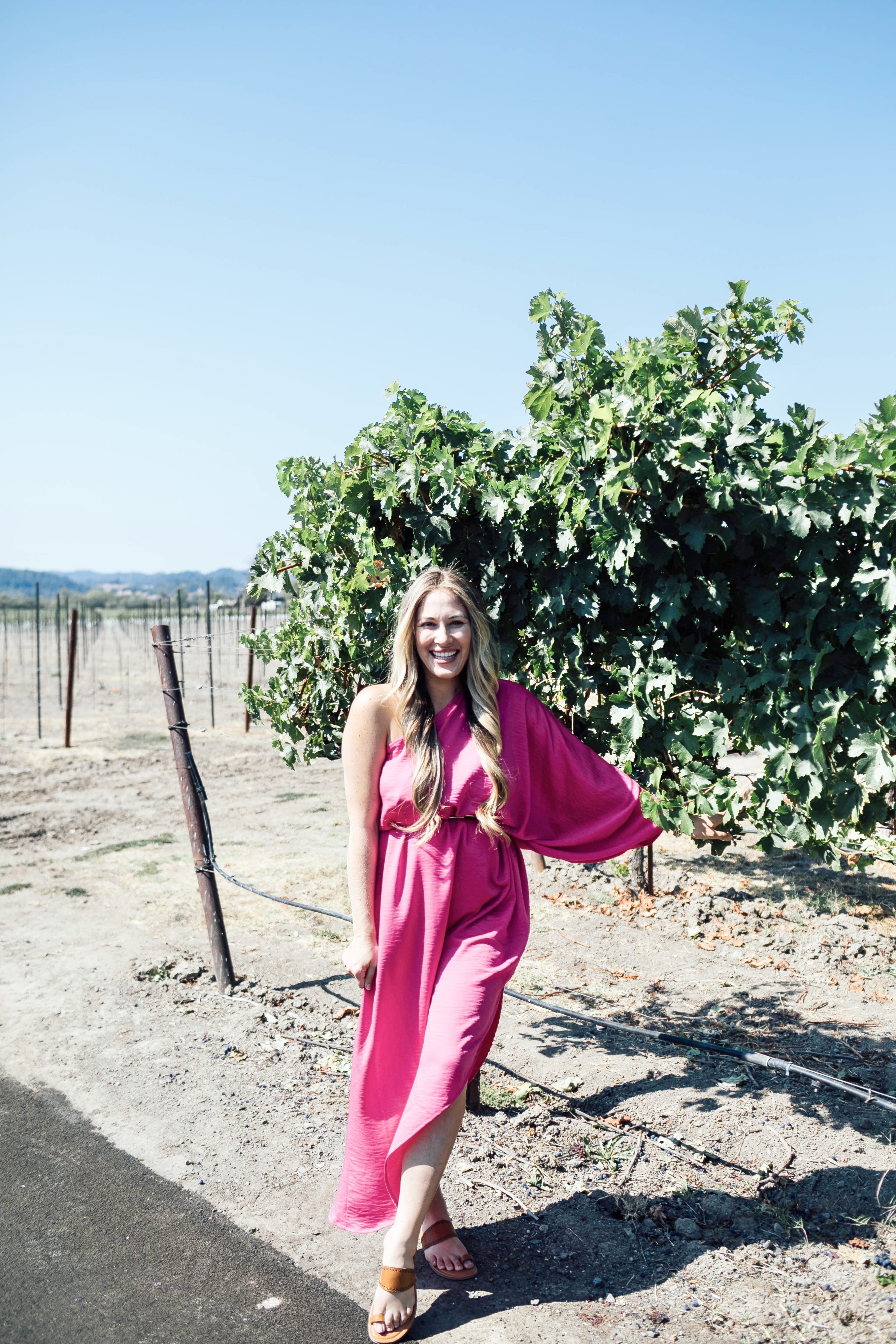 The 5 Best Vineyards in Healdsburg, CA featured by top US travel blogger, Walking in Memphis in High Heels.