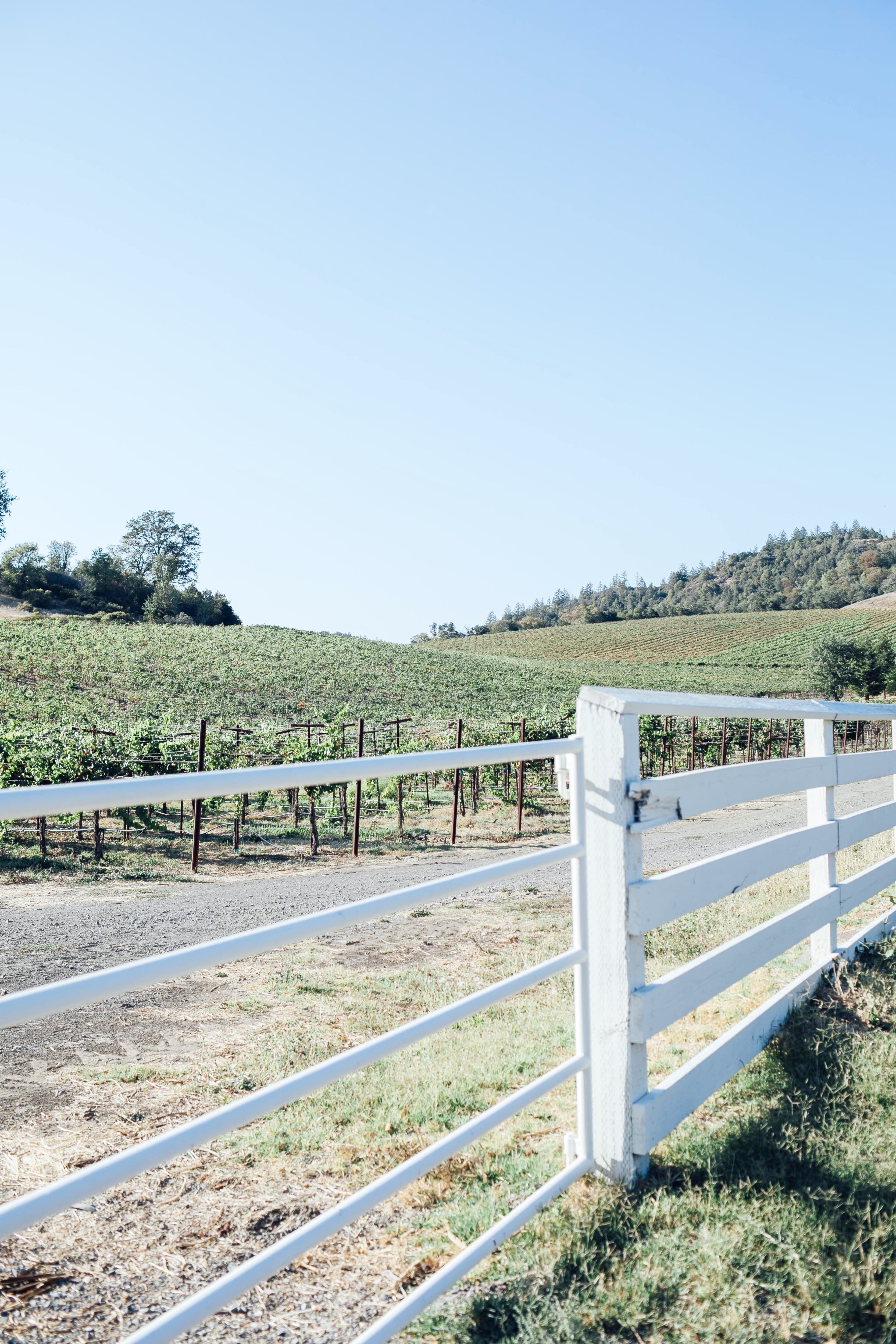 The 5 Best Vineyards in Healdsburg, CA featured by top US travel blogger, Walking in Memphis in High Heels.