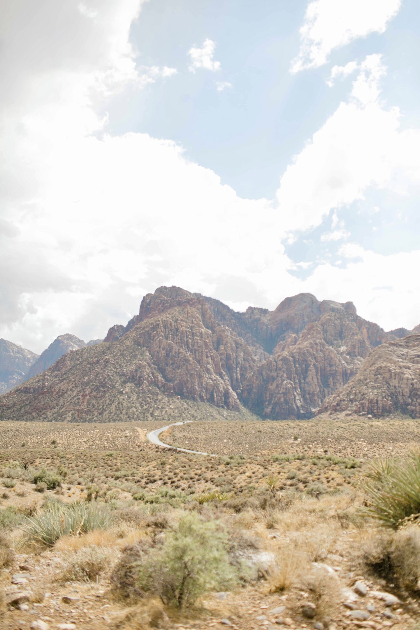 Introduction to Red Rock Canyon Las Vegas 