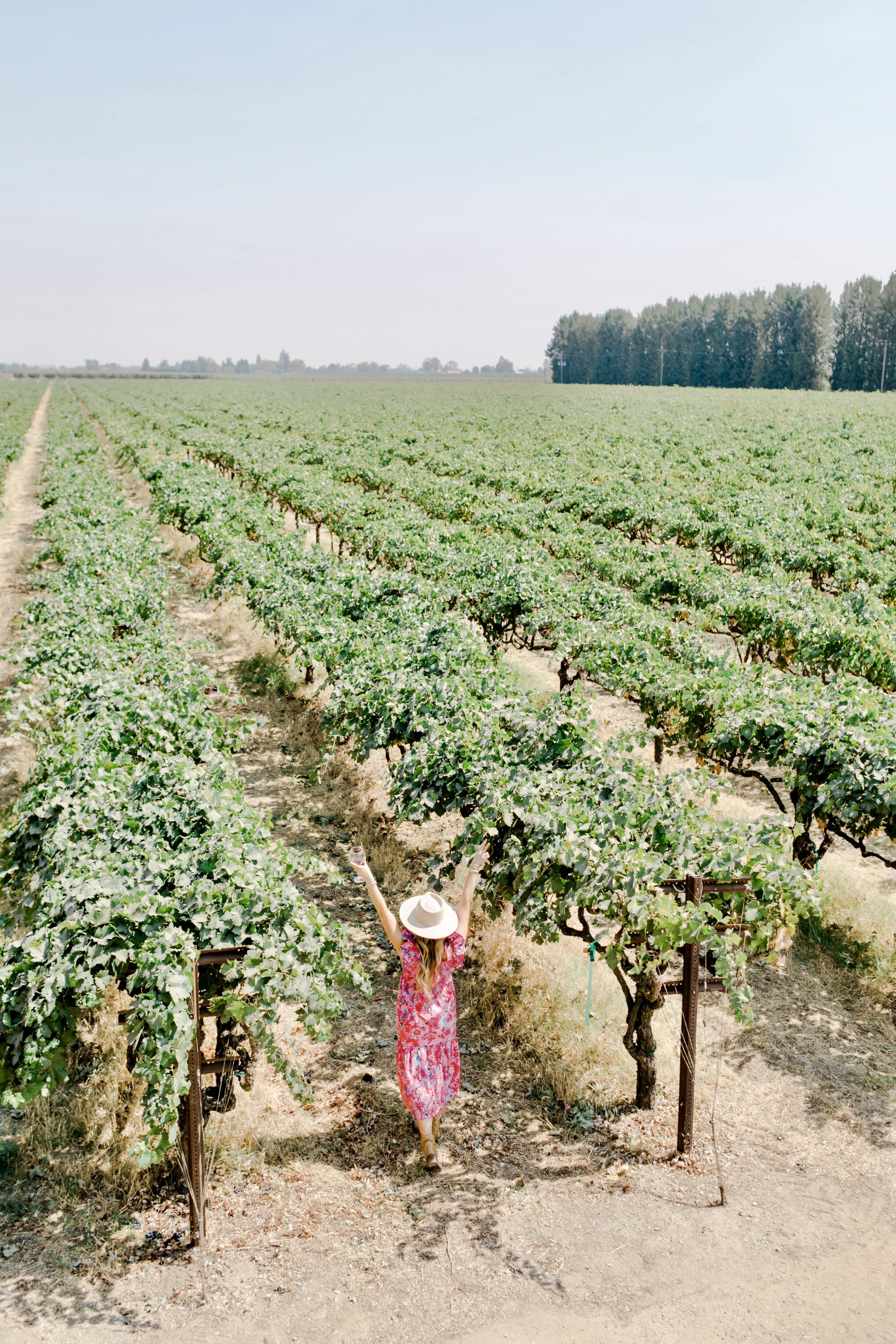 vineyard in lodi california - girls trip ideas - where to go on a girls trip