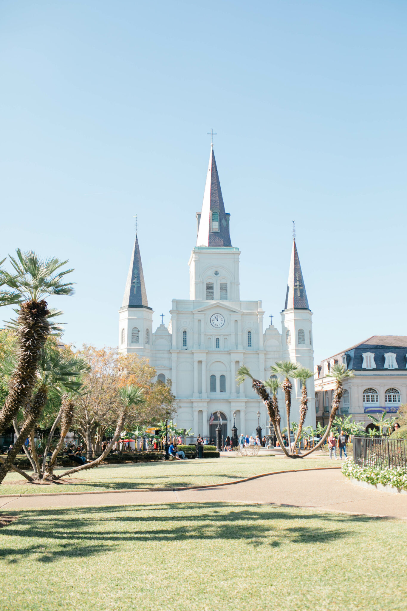 what to do in new orleans