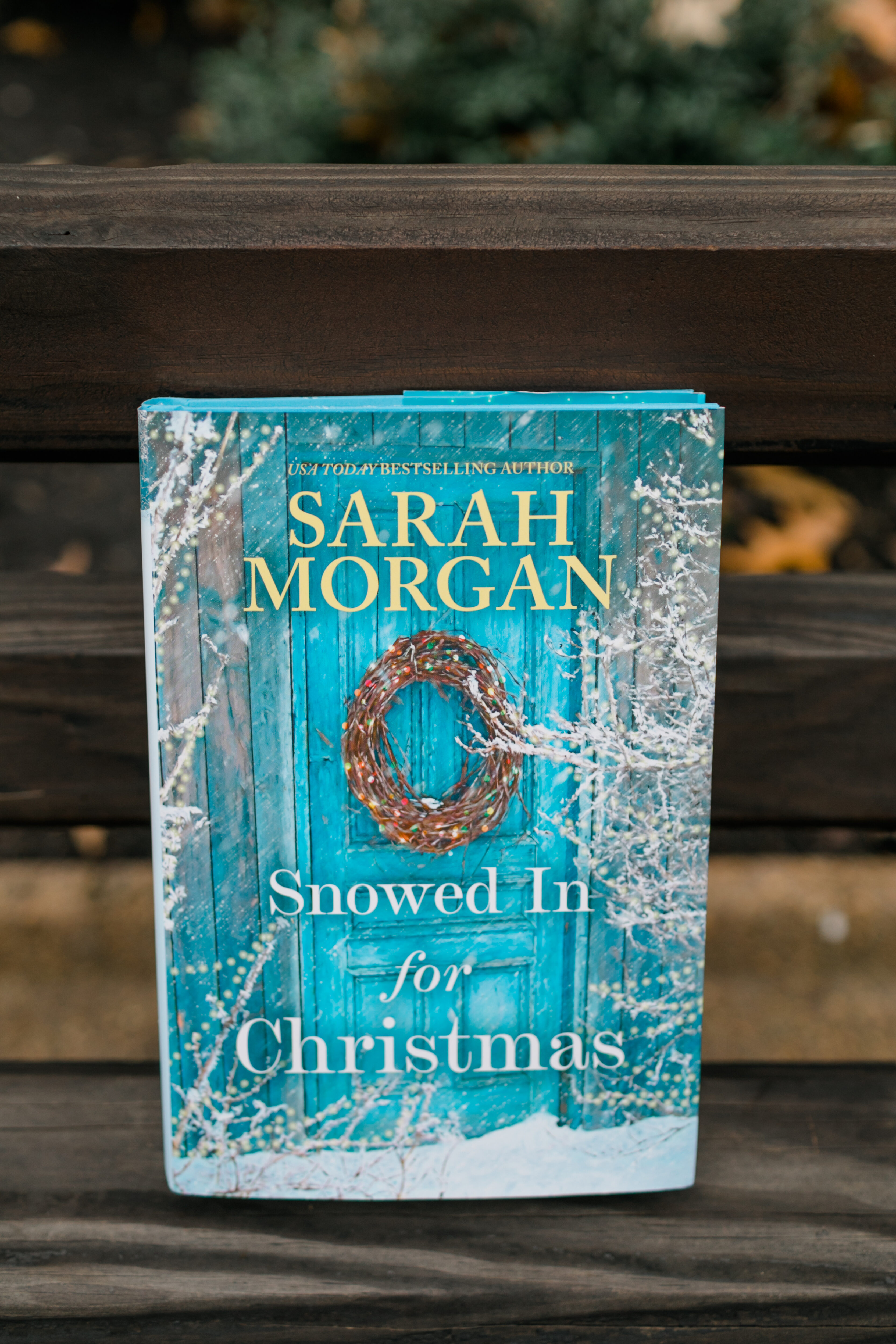 snowed in for christmas book