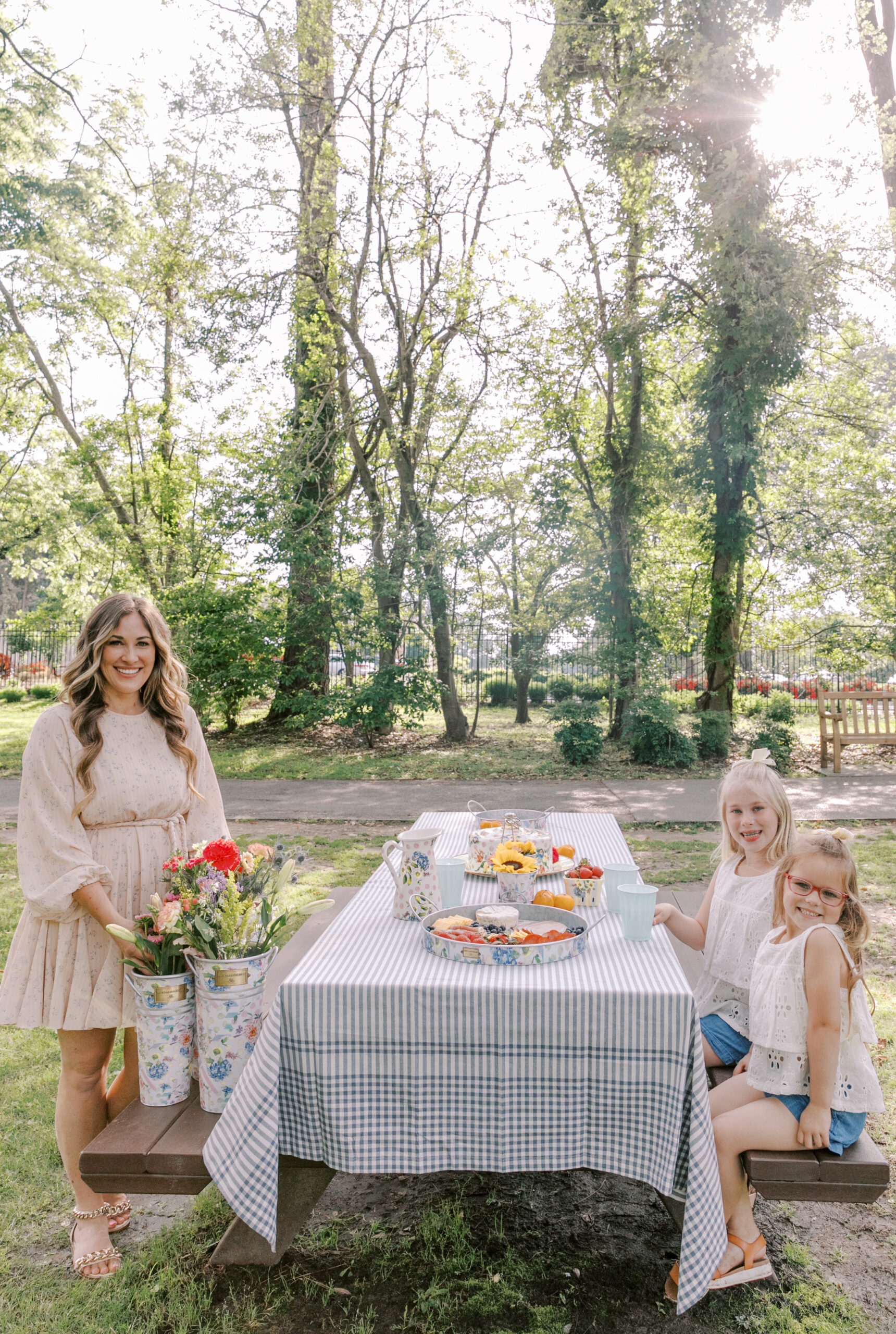 summer picnic for the family