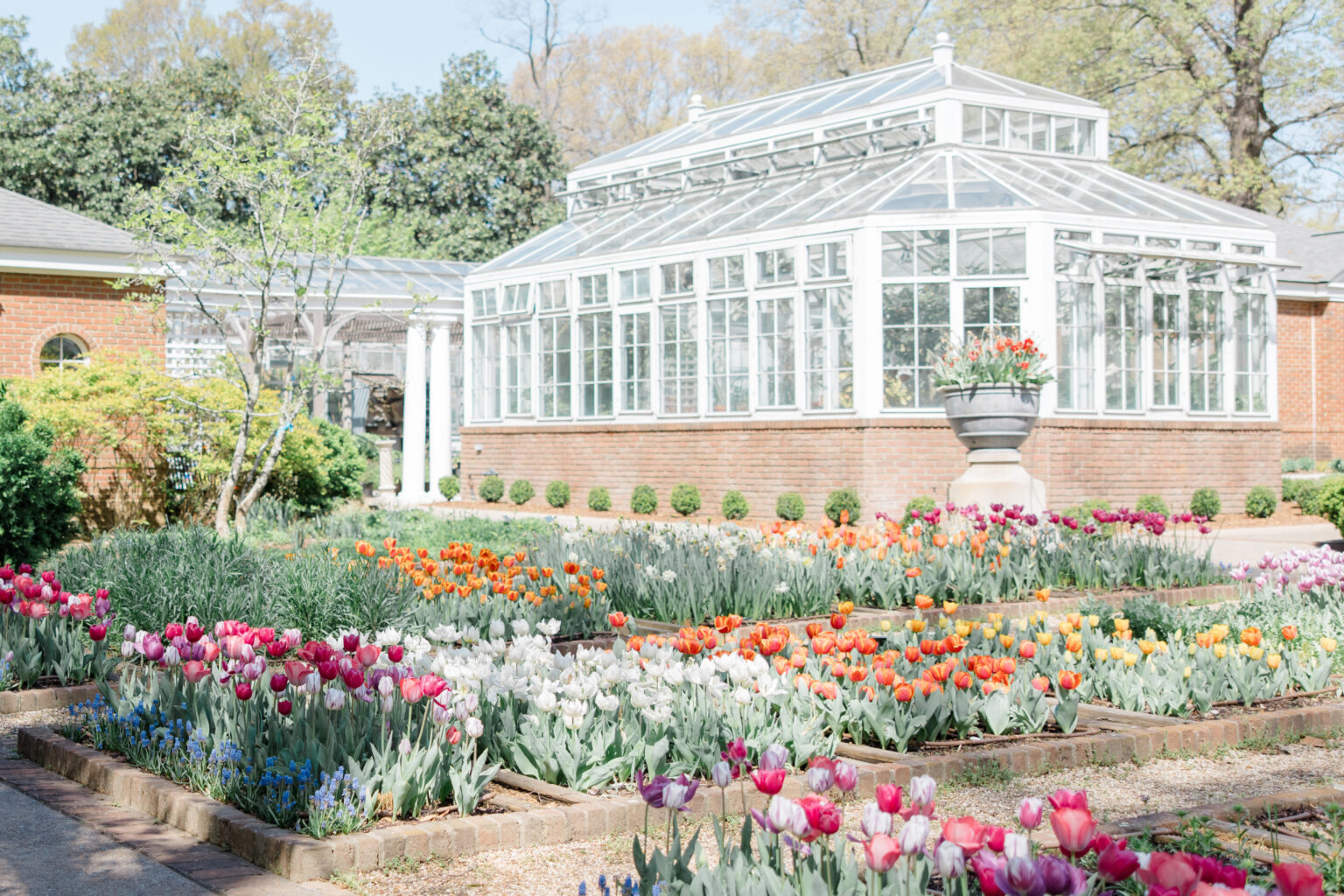 11 of the Best Fall Family Photo Locations near Memphis, Tennessee ...